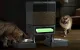 Oneisall Dual Automatic Pet Feeder PFD-002 Voice Recorder 2kg