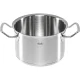 Puodų ir keptuvių rinkinys Fissler Original-Profi Collection, 5 dalių, sidabrinis