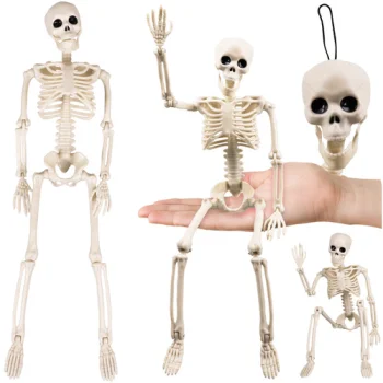 Ruhhy 40cm Posable Skeleton for Halloween, White