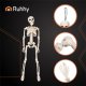 Ruhhy 40cm Posable Skeleton for Halloween, White