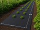 Thick Black Weed Control Fabric 50g/m² 1x20m
