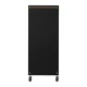 Gabbiano Solo Hairdressing Trolley Black/Gold