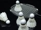 Badminton Feather Shuttlecocks 3-Pack Durable Training Set, White