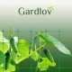 Gardlov tinklas augalams prilaikyti 00023980, 2x20 m, žalias