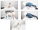 Pet Dog Dryer Blower Bag