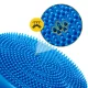 4FIZJO PRO+ Sensorimotor Balance Cushion 33 cm, Blue