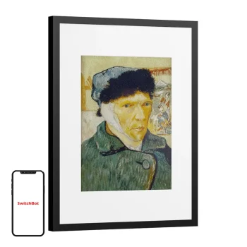 Skaitmeninis nuotraukų rėmelis SwitchBot AI Art Frame 13.3" W8402010, E Ink, Wi-Fi, juodas
