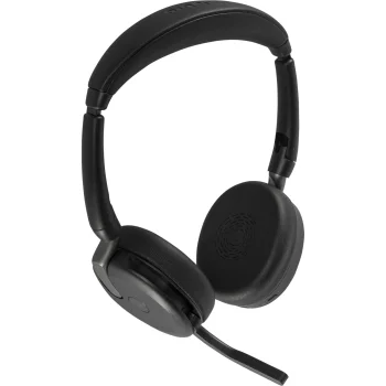 Belaidės ausinės Jabra Evolve2 65 Flex MS Stereo, USB-C, juodos