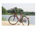 Metal Basket for Bicycle 23557
