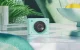 4K AI Webcam OBSBOT Meet 2 Green