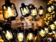 Solar LED Garden Garland with 50 Lanterns, Black, 6.9m
