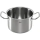 Puodas su dangčiu Fissler Original-Profi Collection 2 20 cm 4 l