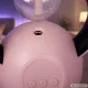 Lampa nuo vabzdžių ir oro drėkintuvas 2in1 su USB, LED