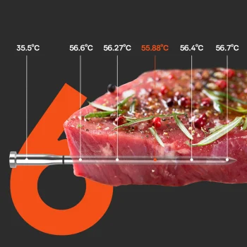 Virtuvinis termometras Meatmeet S Pro su Bluetooth programėle, pilkas