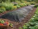 Stora agroplėvelė nuo piktžolių 50g 1x30m juoda