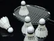 Feather Badminton Shuttlecocks 12-Pack Durable Birdies, White