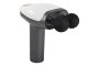 Cordless Massage Gun, 8 Attachments, LCD, USB-C