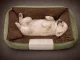 Green Pet Bed for Dogs or Cats (Size S, 60x40 cm)