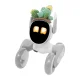 Megztas kostiumas Loona Premium robotui, Kaktusas