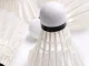 Badminton Feather Shuttlecocks 3-Pack Durable Training Set, White