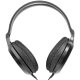 Panasonic RP-HT161 ausinės juodos