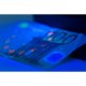 2in1 XPE UV Flashlight Trizand 24311