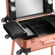 Nešiojama kosmetikos stotelė Activeshop T-27, Rose Gold