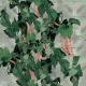 Augalų atraminis tinklas TENAX Flora 2 x 10 m, žalias