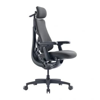LiberNovo Omni GEN 48 cm Ergonomic Chair, Graphite
