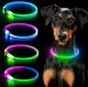 Šviečiantis LED RGB antkaklis šunims ir katėms, L dydis (iki 70 cm)