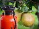 Pressure Sprayer 5L with Long Lance and Shoulder Strap, Orange