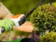 Cordless Grass and Shrub Shears 2-in-1, White/Orange