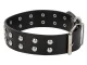 Dog Collar with Studs, Faux Leather, Adjustable, Size L