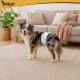 Purlov Disposable Dog Diapers M-L (12 pcs)