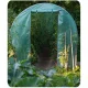 Plonos Polytunnel Greenhouse 10x6.5 ft šiltnamis-tunelis