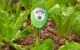Soil Moisture Meter RainPoint DA01 Battery-Free Green
