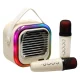 Karaoke Machine with Bluetooth Speaker and 2 Microphones, USB LED 10W, Cream