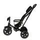 Ikonka TRIKE FIX Elite 2-in-1 Tricycle / Stroller, Black
