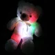 Pliušinis meškiukas su RGB apšvietimu, 50 cm