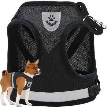 Soft Harness with Leash for Dogs and Cats, Reflective, Black, XS