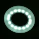 Activeshop Ring LED Snake stalinis šviestuvas, baltas