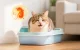 Petkit Urine Monitor augalinis sušokantis kačių kraikas su pH indikatoriumi, 2.4 kg