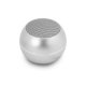 Guess GUWSALGEG Mini Bluetooth garsiakalbis, pilkas