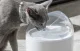 Catlink Pure 2 UV Smart Pet Water Fountain, 2.6L, Gray