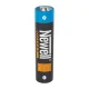 Newell AAA USB-C 500 mAh įkraunamos baterijos (2 vnt.)