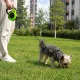 Automatinis pavadėlis šunims ir katėms su fiksatoriumi 5m (iki 15kg)