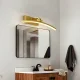 LED veidrodžio šviestuvas 147550, 60 cm, 7W, reguliuojamas, auksinis