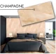 Dekoratyvinė sienų plokštė CHAMPAGNE 500x1000mm