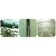 Plonos Polytunnel Greenhouse 10x6.5 ft šiltnamis-tunelis