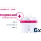 BWT 125681749 pakartotinai užpildomos vandens filtrų kasetės Magnesium Mineralizer, 6 vnt., balta